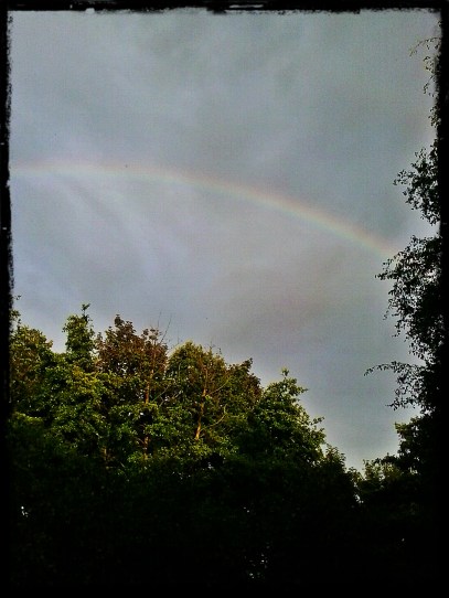 regenboog