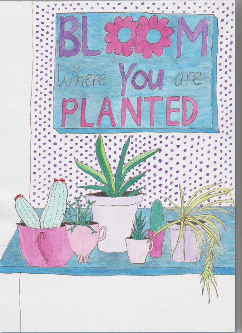 Bloom where you are planted