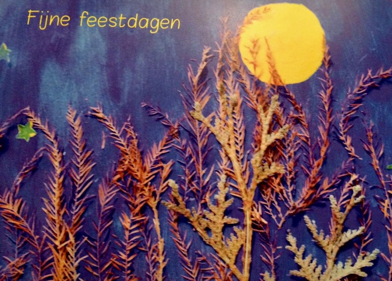 img-20161223-wa0001-1